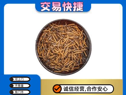 伊犁州霍尔果斯礼品回收虫草.jpg